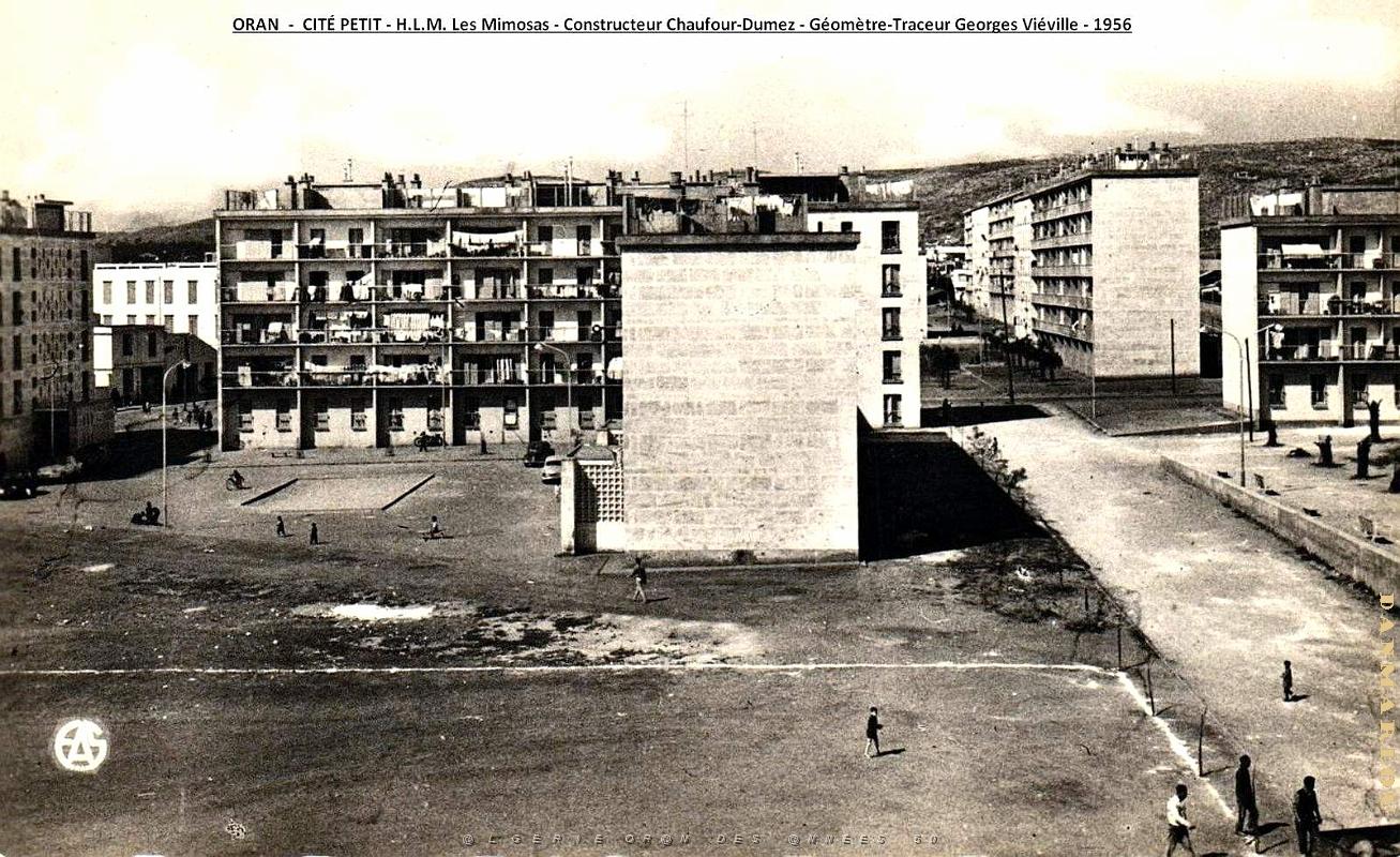 Oran-Cite Petit - H.L.M. les Mimosas - 1956.jpg